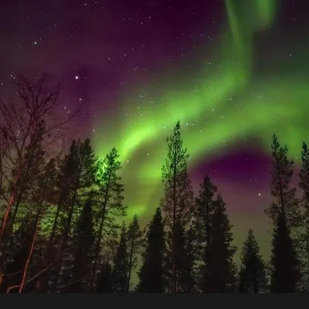 Velhonkieppi Kittila (Lapland)