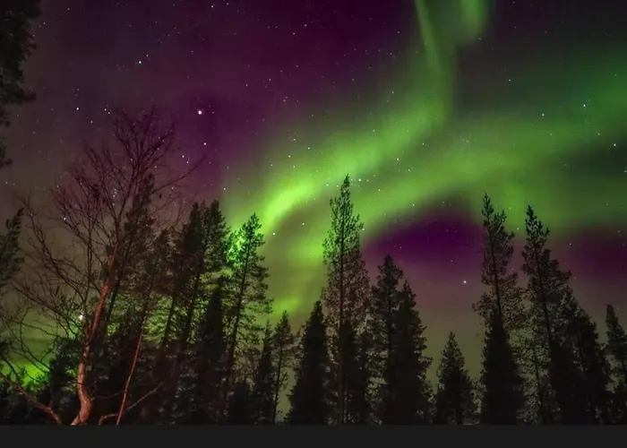 Velhonkieppi Kittila (Lapland)